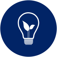 icon bulb